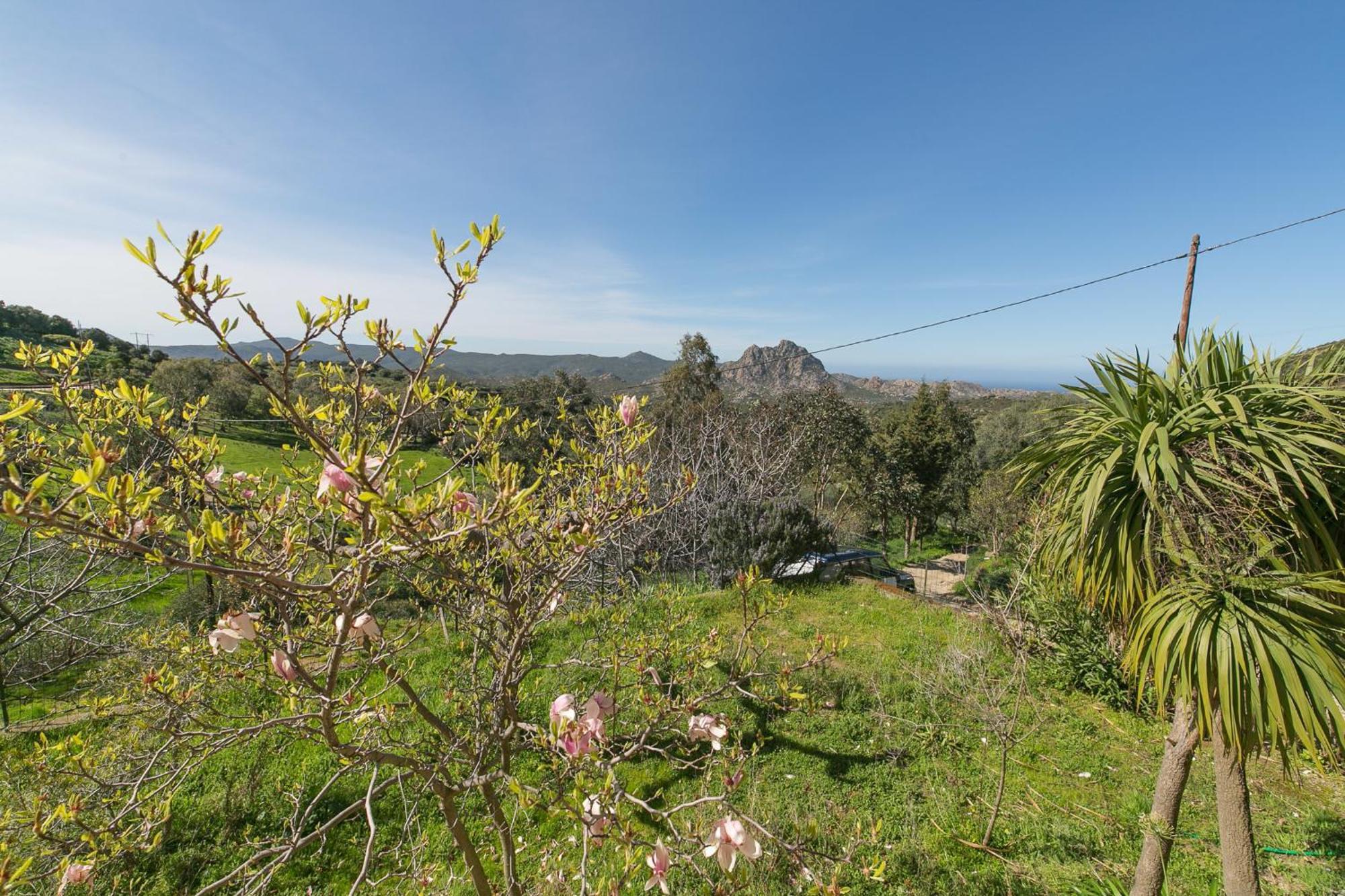 Relais De Saleccia 호텔 Casta 객실 사진